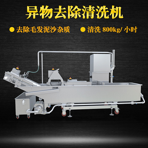 環(huán)速商用果蔬清洗機，氣泡清洗，清洗800kg小時