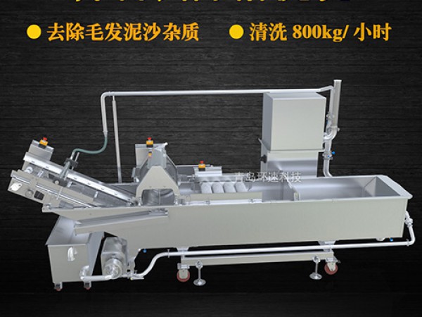 蔬菜清洗機(jī)，氣泡清洗，清洗800kg/小時(shí)