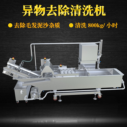 蔬菜清洗機(jī)，氣泡清洗，清洗800kg小時(shí)